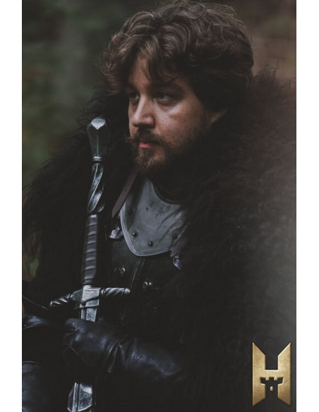 Lange keizerlijke zwaard afgewerkt in...