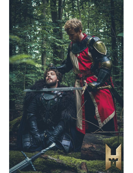 Lange keizerlijke zwaard met gouden...