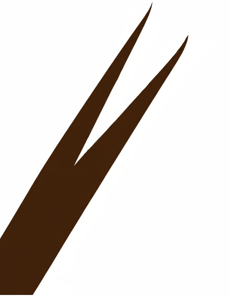 Medievalt Bælte Galileo - Mørkebrun