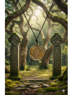 Keltische Vleugels Hanger - Goud