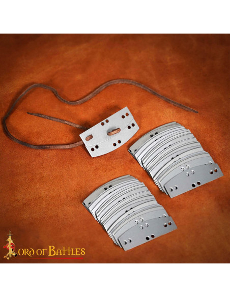 Pak van 100 roestvrijstalen platen...