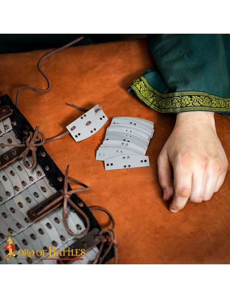 Pak van 100 roestvrijstalen platen...