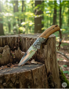 Verzameling zakmes Albainox met Perdiz-venster (21,5 cm.)