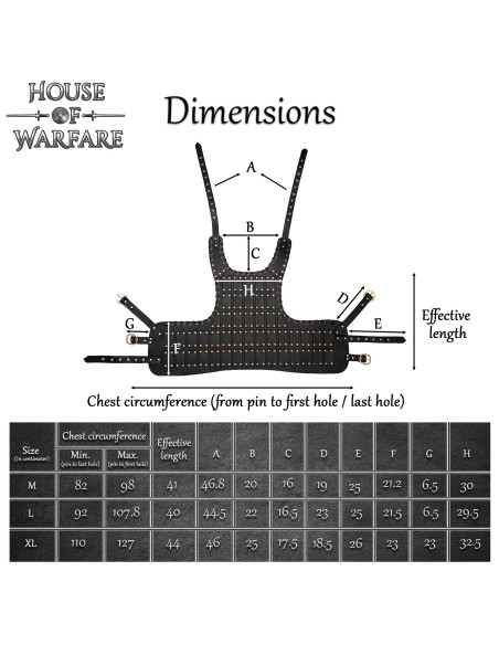 Medieval brigantine i læder model...