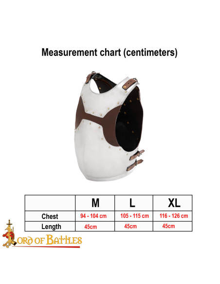Middeleeuwse ridderharnas van staal...