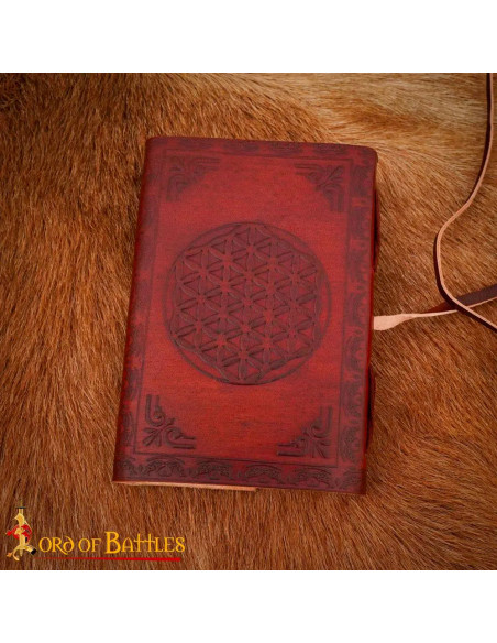 Mittelalterliches Tagebuch mit...