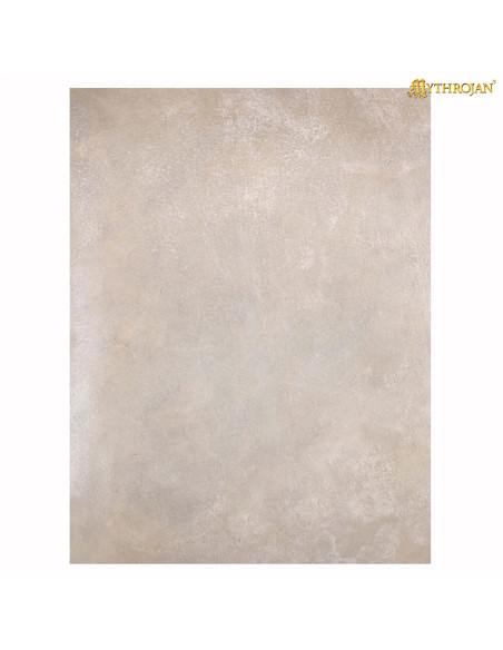 Middeleeuws perkamentvel van...