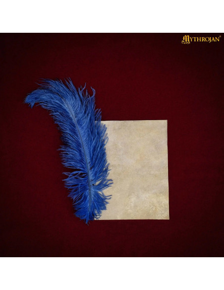 Middeleeuws perkamentvel van...