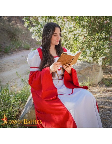 Tagebuch mittelalter Lederdeckel...