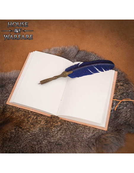 Mittelalterliches Tagebuch mit...