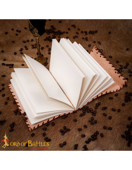 Mittelalterliches Tagebuch mit...