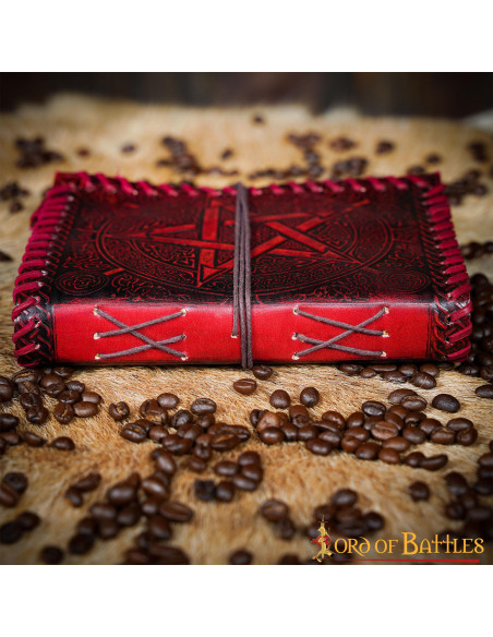 Mittelalterliches Tagebuch mit...