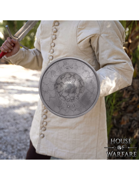 Functionele middeleeuwse schijf in... Functionele middeleeuwse schijf in...