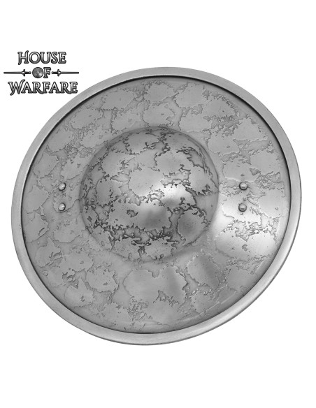 Functionele middeleeuwse schijf in... Functionele middeleeuwse schijf in...