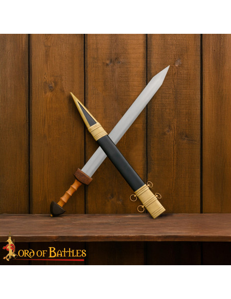 Decoratieve Romeinse Gladius van de...