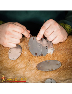 Set aus 25 lamellenförmigen Platten aus weichstahl für...