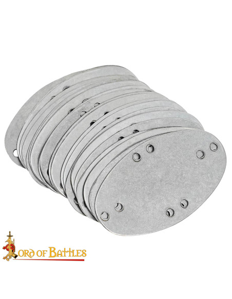 Set 25 placas laminares en acero...