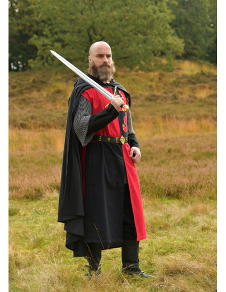 Middeleeuwse ridder tabard met leeuw...