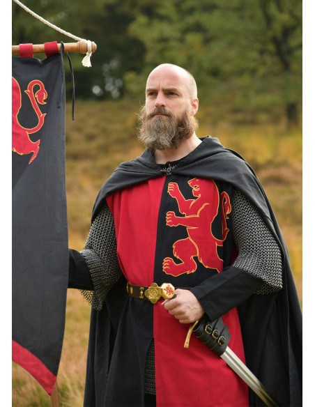 Middeleeuwse ridder tabard met leeuw...