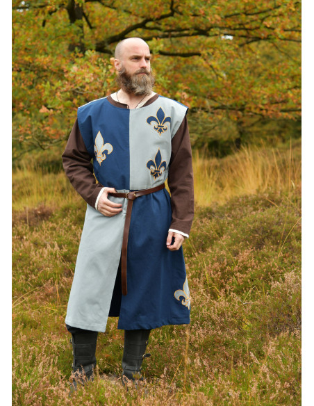 Middeleeuws tabard ridder ontwerp...