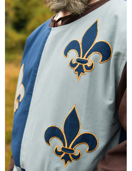 Middeleeuws tabard ridder ontwerp...
