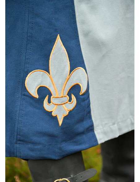 Middeleeuws tabard ridder ontwerp...