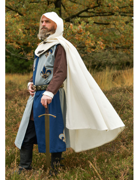 Middeleeuws tabard ridder ontwerp...