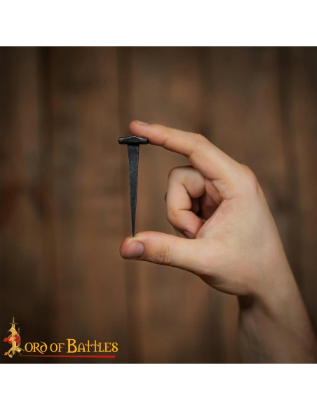 Set 10 clavos medievales forjados (8...