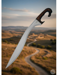 Funktionelle handgefertigte iberische Falcata mit... 2