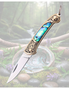 Navaja miniatura diseño abulón hoja acero 420 brillo