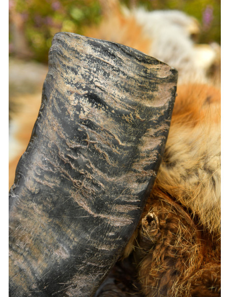 Vikingebuffalo horn til historisk...