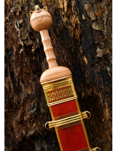 Romersk Gladius Dubravica med skede...