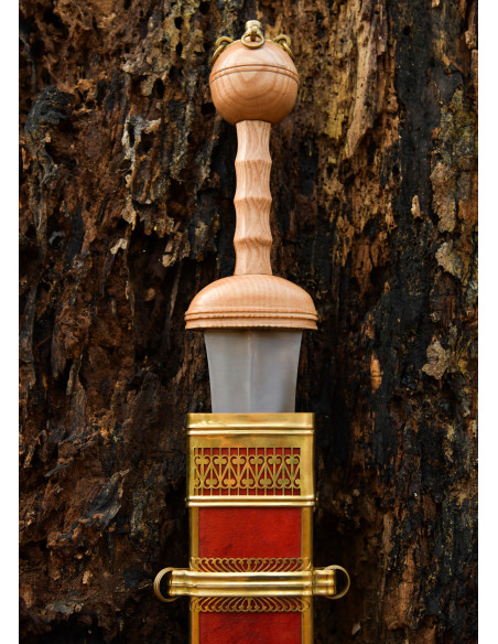 Dubravicaj römisches Gladius mit...