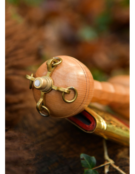 Romeinse Gladius Dubravica met schede...