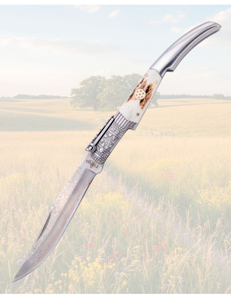 Navaja de Carraca Damasco y Asta...