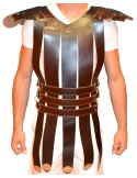 Romeins gladiatorvest