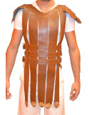 Romeins gladiatorvest