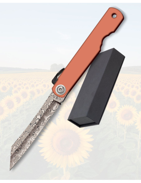 Albainox Foldbar Kniv med Damasco...