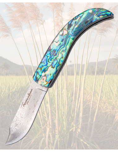 Ruwe Tramuntana Knives mes met abalone en hars