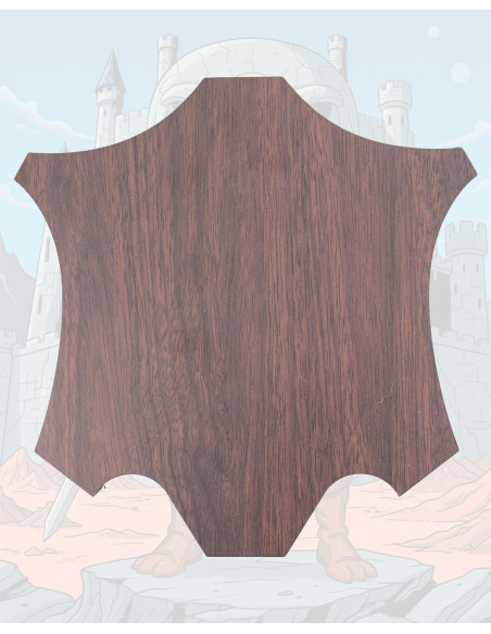 He-Man Zwaard van Masters of the...