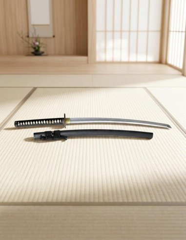 Katana Plus voor oefeningen