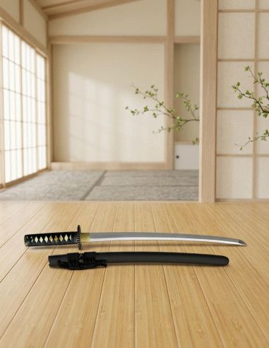 Wakizashi para prácticas plus
