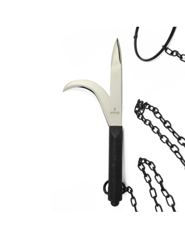 Kyoketsu Shoge