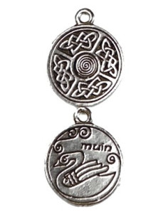Celtic Astrology Pendant Muin