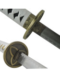 Katana Michonne, The Walking Dead