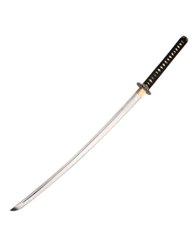 Katana til træning