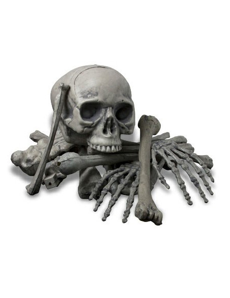 Huesos humanos, 18 piezas
