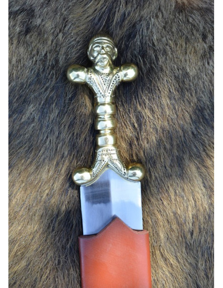 Keltisch langzwaard met schede