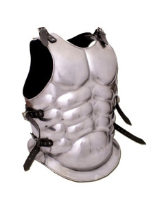 muskulöser Kürass 2