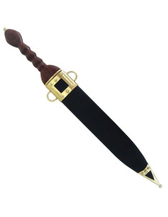 Funktionel Roman Pugio 2